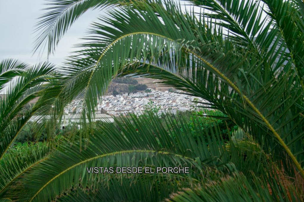 Finca Villa Rey Ardales Ngoại thất bức ảnh